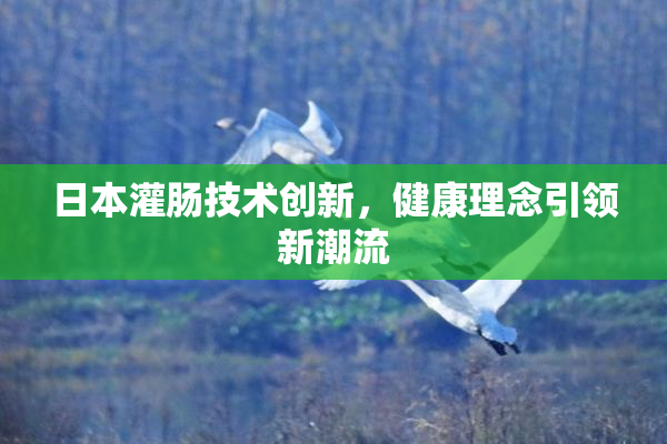 日本灌肠技术创新，健康理念引领新潮流