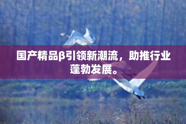 国产精品β引领新潮流，助推行业蓬勃发展。