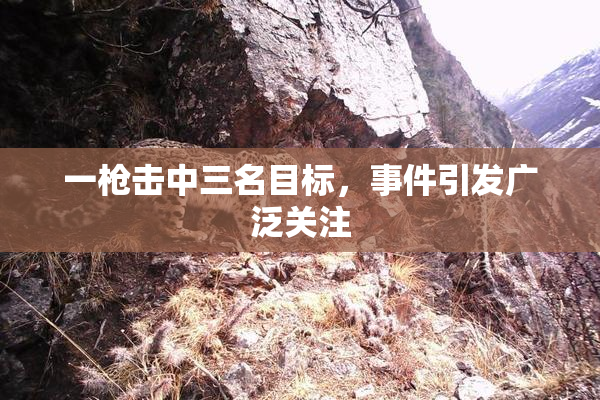 一枪击中三名目标，事件引发广泛关注