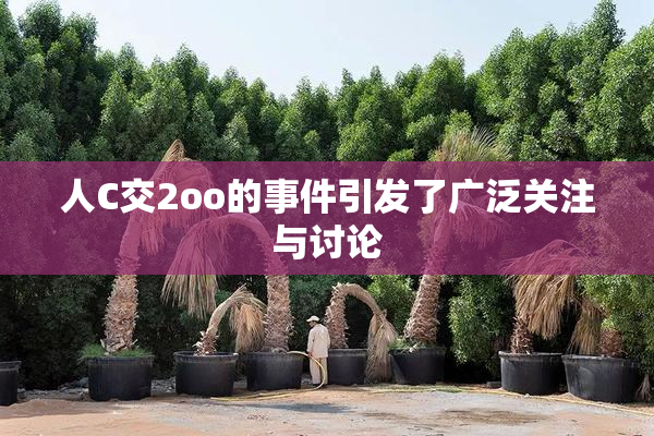 人C交2oo的事件引发了广泛关注与讨论