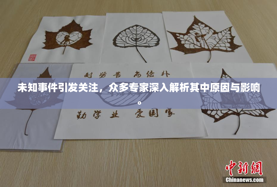未知事件引发关注，众多专家深入解析其中原因与影响。