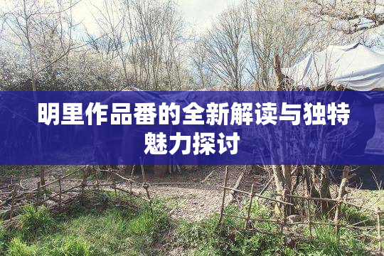 明里作品番的全新解读与独特魅力探讨