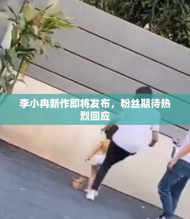 李小冉新作即将发布，粉丝期待热烈回应