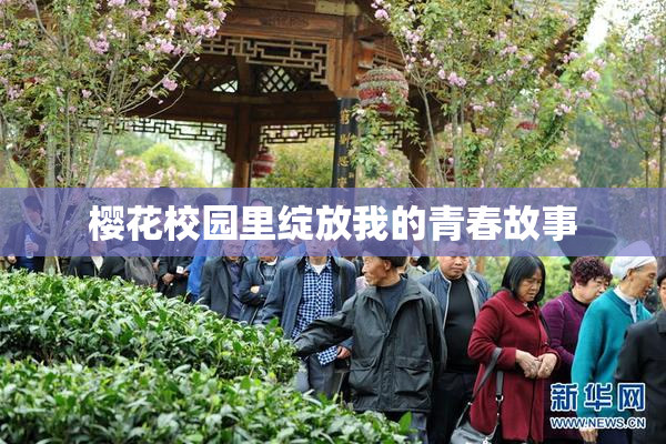 樱花校园里绽放我的青春故事
