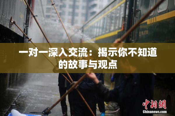 一对一深入交流：揭示你不知道的故事与观点