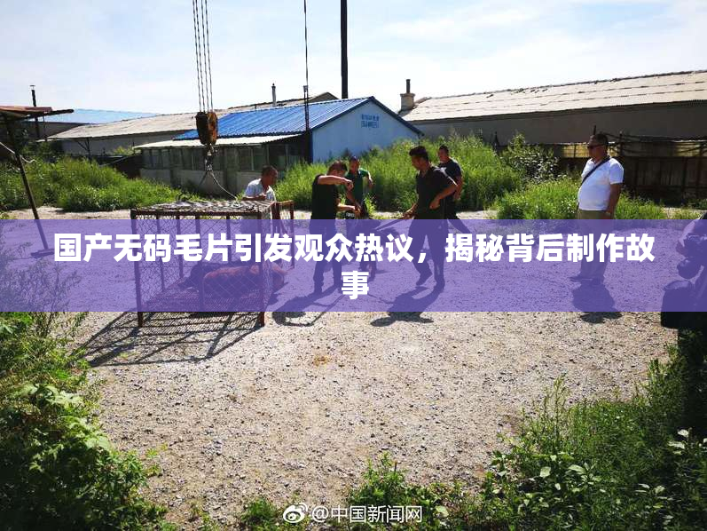 国产无码毛片引发观众热议，揭秘背后制作故事