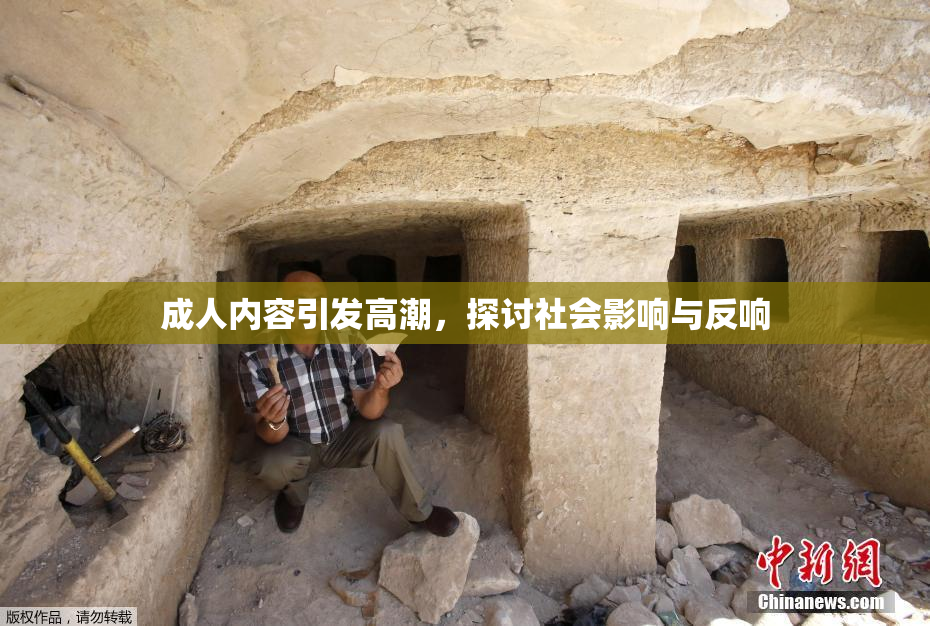 成人内容引发高潮，探讨社会影响与反响