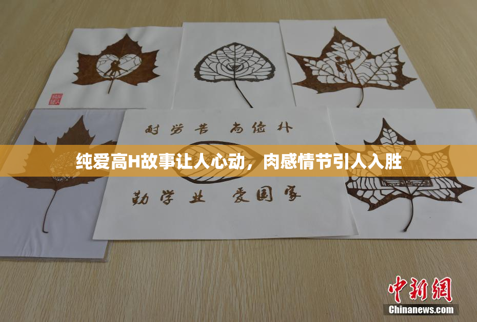 纯爱高H故事让人心动，肉感情节引人入胜
