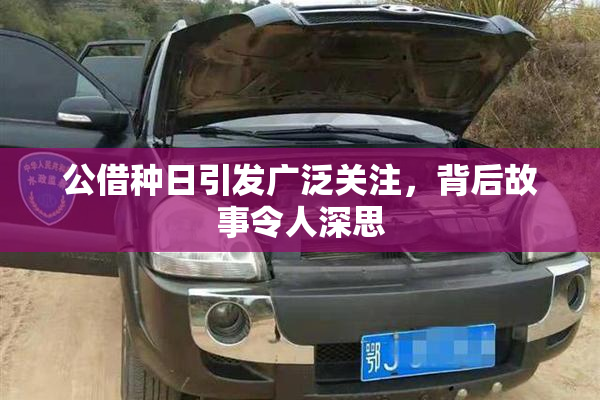 公借种日引发广泛关注，背后故事令人深思