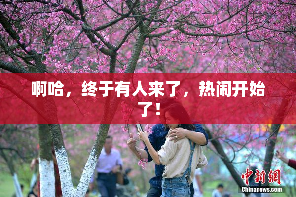 啊哈，终于有人来了，热闹开始了！
