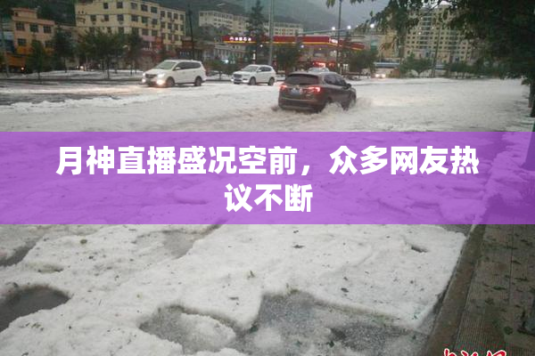 月神直播盛况空前，众多网友热议不断