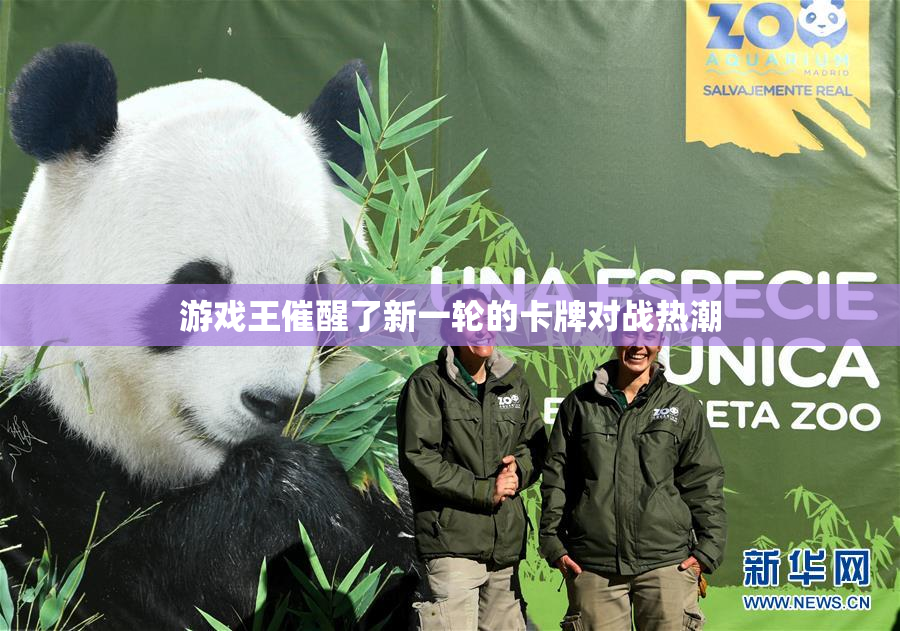 游戏王催醒了新一轮的卡牌对战热潮