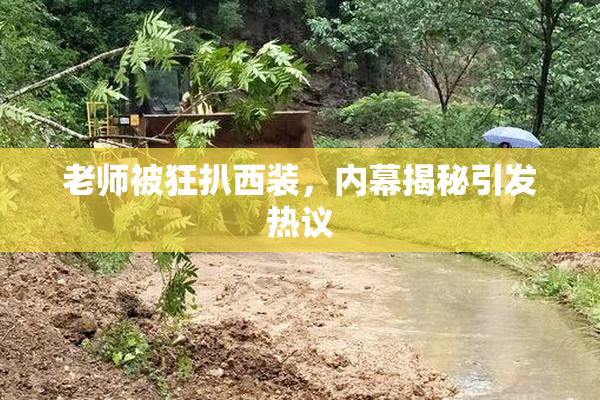 老师被狂扒西装，内幕揭秘引发热议