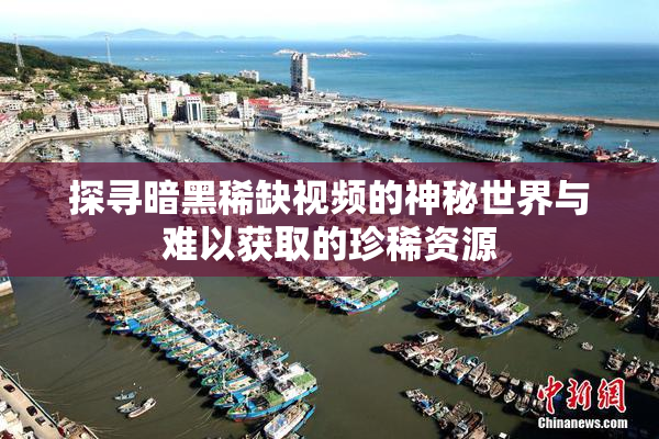 探寻暗黑稀缺视频的神秘世界与难以获取的珍稀资源