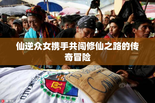 仙逆众女携手共闯修仙之路的传奇冒险