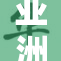 亚洲产业创新成果展示，推动区域经济发展新机遇