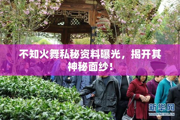 不知火舞私秘资料曝光，揭开其神秘面纱！