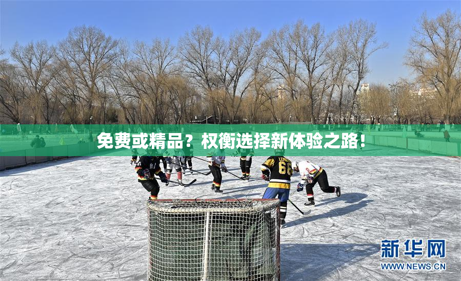 免费或精品？权衡选择新体验之路！