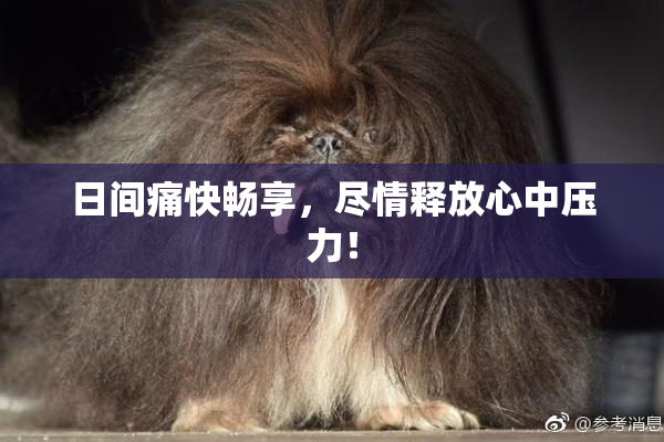 日间痛快畅享，尽情释放心中压力！