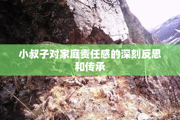 小叔子对家庭责任感的深刻反思和传承