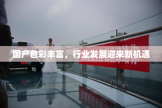 国产色彩丰富，行业发展迎来新机遇