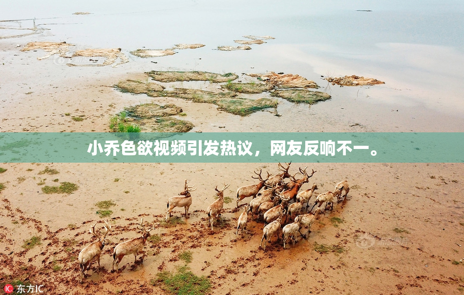 小乔色欲视频引发热议，网友反响不一。