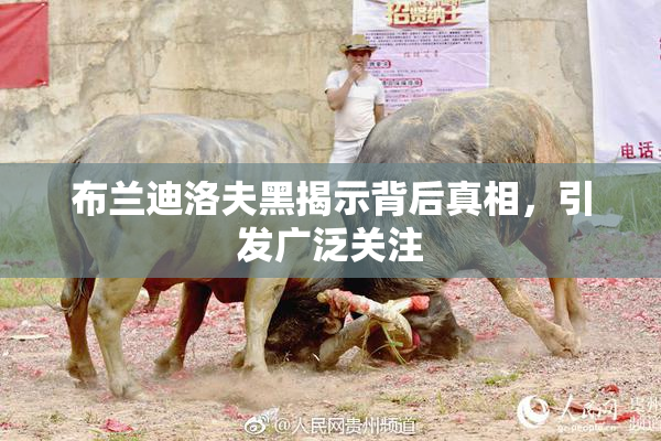 布兰迪洛夫黑揭示背后真相，引发广泛关注