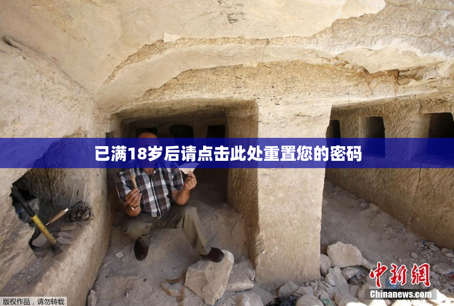 已满18岁后请点击此处重置您的密码