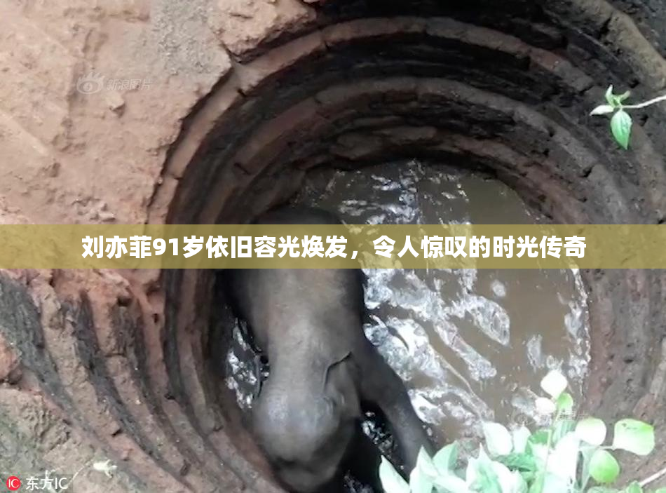 刘亦菲91岁依旧容光焕发，令人惊叹的时光传奇