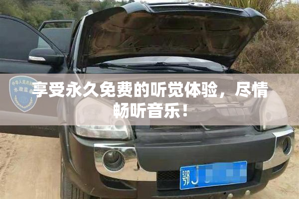 享受永久免费的听觉体验，尽情畅听音乐！
