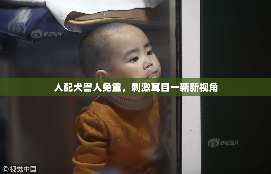人配犬兽人免重，刺激耳目一新新视角