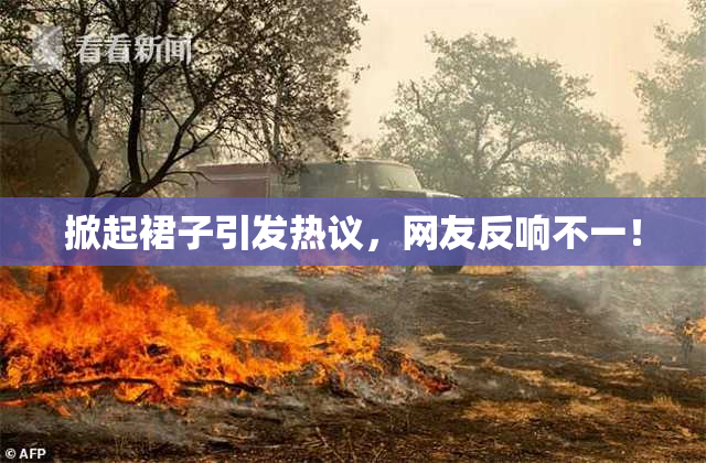 掀起裙子引发热议，网友反响不一！