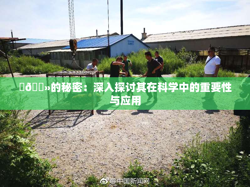 ‌🐻的秘密：深入探讨其在科学中的重要性与应用