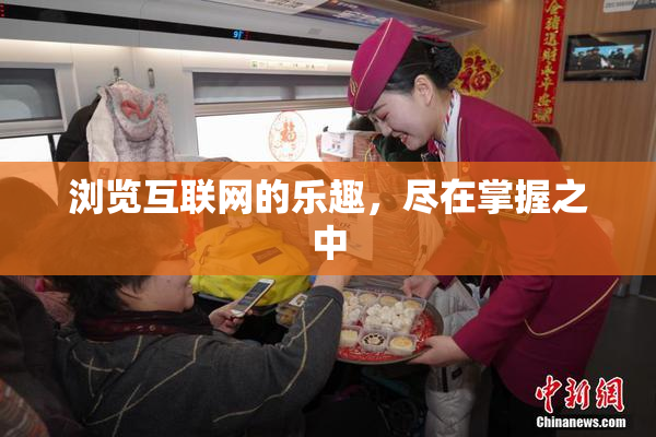 浏览互联网的乐趣，尽在掌握之中