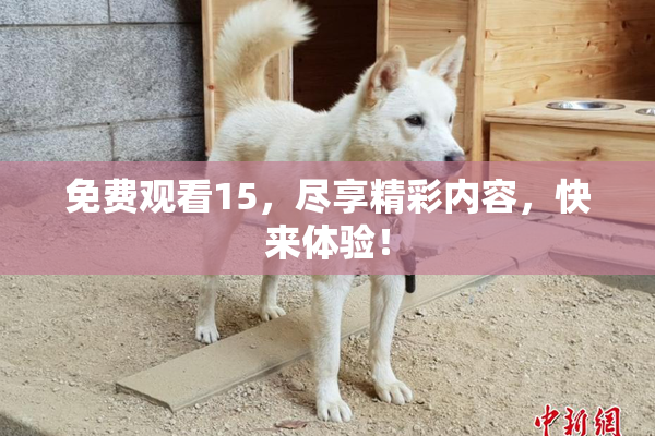 免费观看15，尽享精彩内容，快来体验！