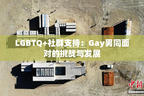 LGBTQ+社群支持：Gay男同面对的挑战与发展