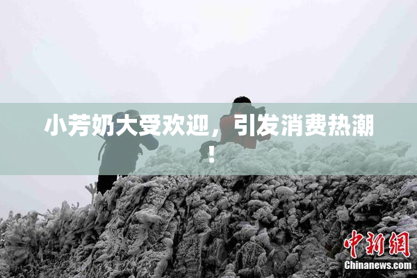 小芳奶大受欢迎，引发消费热潮！
