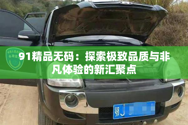 91精品无码：探索极致品质与非凡体验的新汇聚点