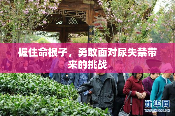 握住命根子，勇敢面对尿失禁带来的挑战