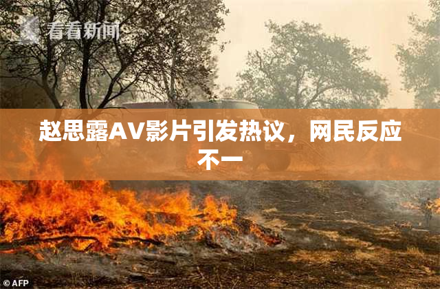 赵思露AV影片引发热议，网民反应不一