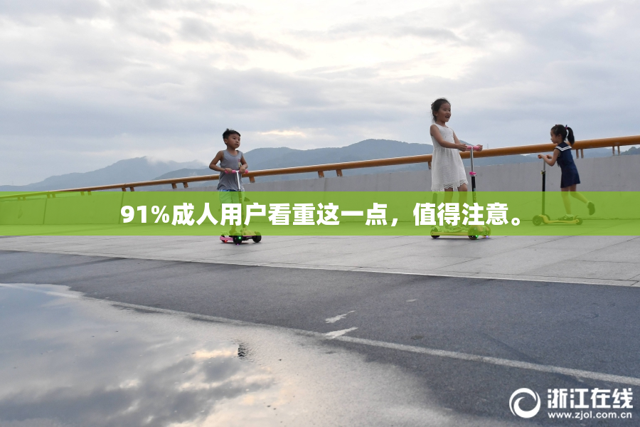 91%成人用户看重这一点，值得注意。