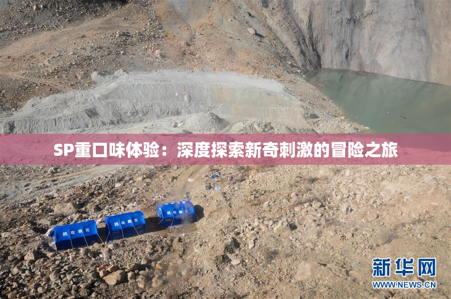 SP重口味体验：深度探索新奇刺激的冒险之旅