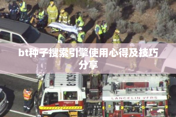 bt种子搜索引擎使用心得及技巧分享