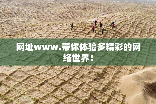 网址www.带你体验多精彩的网络世界！