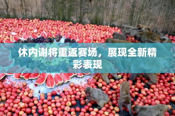 休内谢将重返赛场，展现全新精彩表现