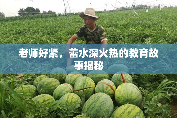 老师好紧，蕾水深火热的教育故事揭秘