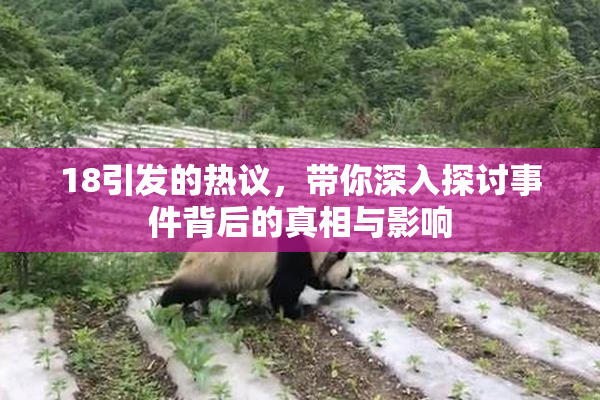 18引发的热议，带你深入探讨事件背后的真相与影响