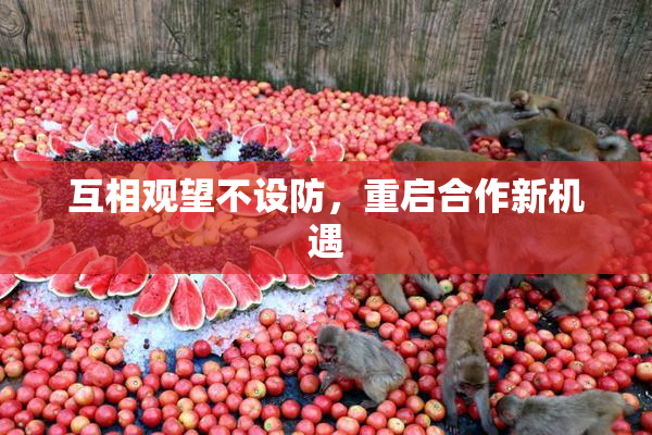 互相观望不设防，重启合作新机遇