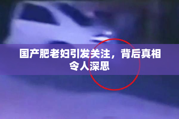 国产肥老妇引发关注，背后真相令人深思