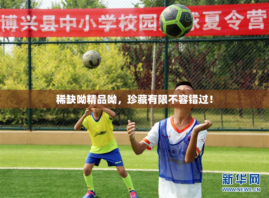 稀缺呦精品呦，珍藏有限不容错过！